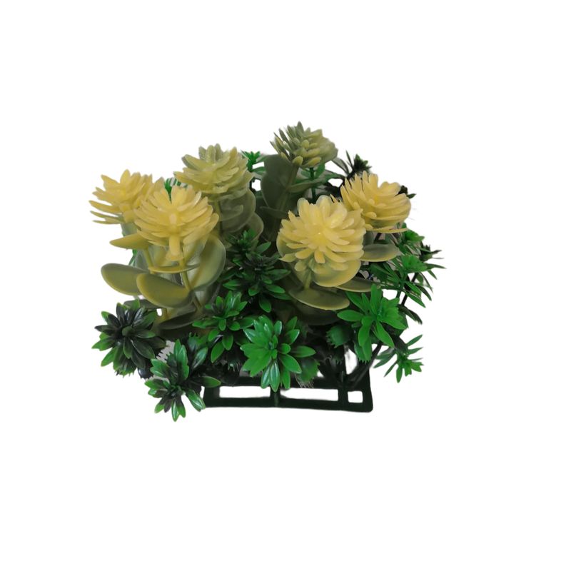 گیاه تزیینی آکواریوم مدل بنسای کوچک
