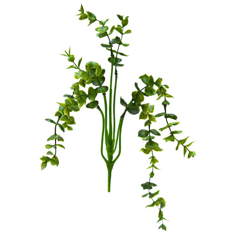 گیاه تزیینی آکواریوم مدل بوته برگ شمشاد