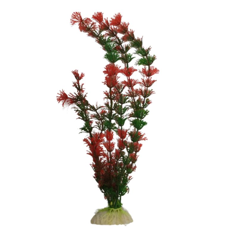 گیاه تزیینی آکواریوم مدل سانترا 30