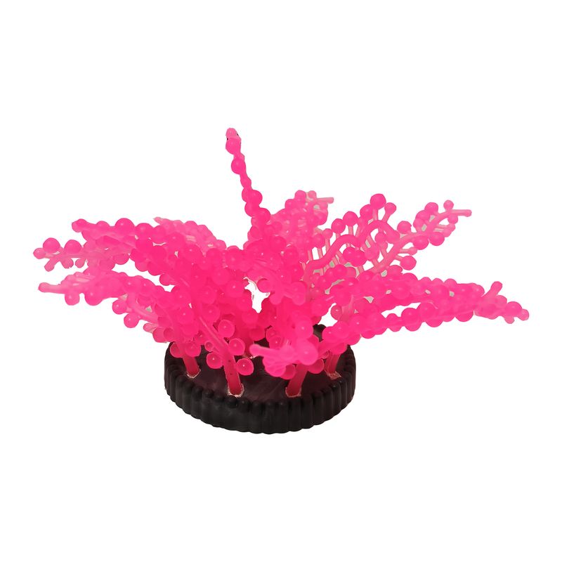 گیاه تزیینی آکواریوم مدل ژله ای کد zh05