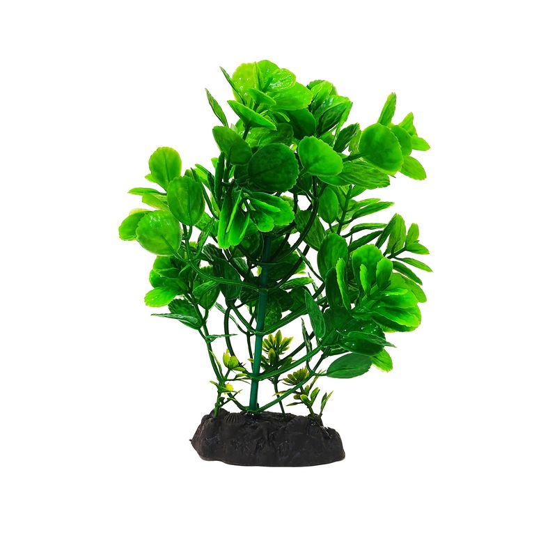گیاه تزیینی آکواریوم کد f02