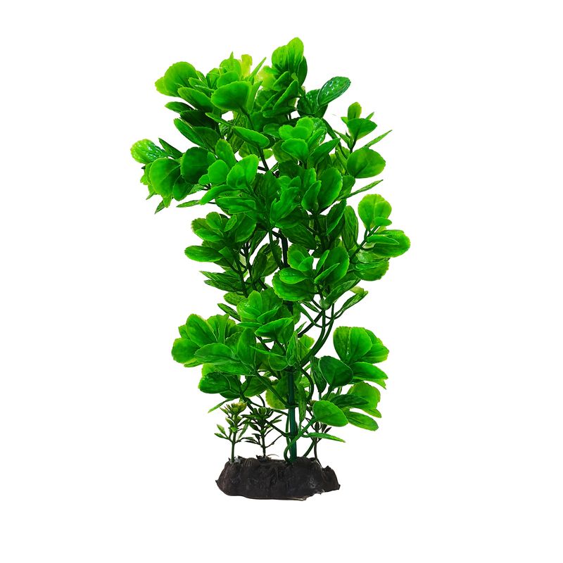 گیاه تزیینی آکواریوم کد f04