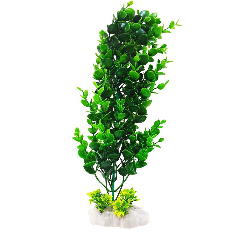 گیاه تزیینی آکواریوم کد h03