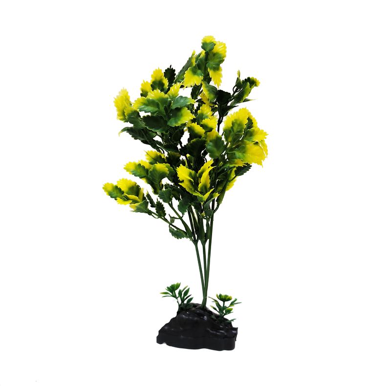 گیاه تزیینی آکواریوم کد kl012