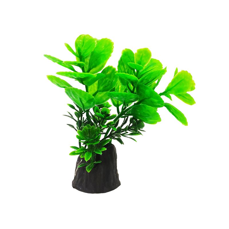گیاه تزیینی آکواریوم کد n12