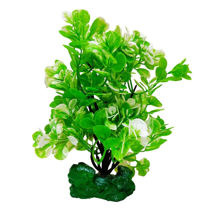 گیاه تزیینی آکواریوم کد r01